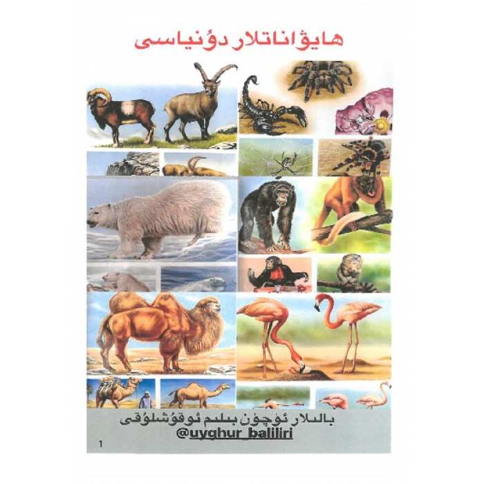ئاساسىي رەسىم
