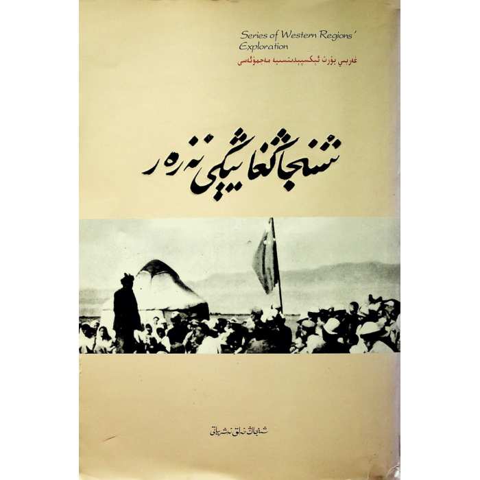 شىنجاڭغا يېڭى نەزەر