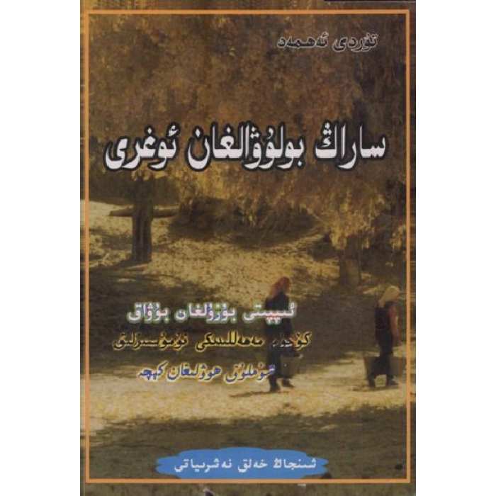 ساراڭ بولۇۋالغان ئوغرى