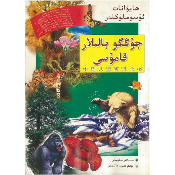 ئاساسىي رەسىم