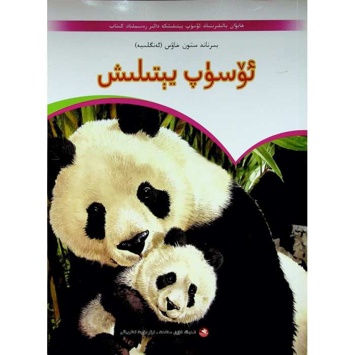 ئاساسىي رەسىم