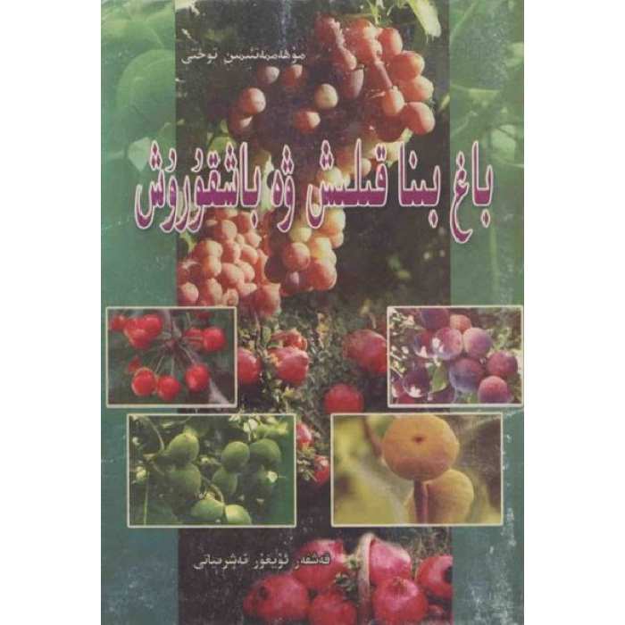 ئاساسىي رەسىم