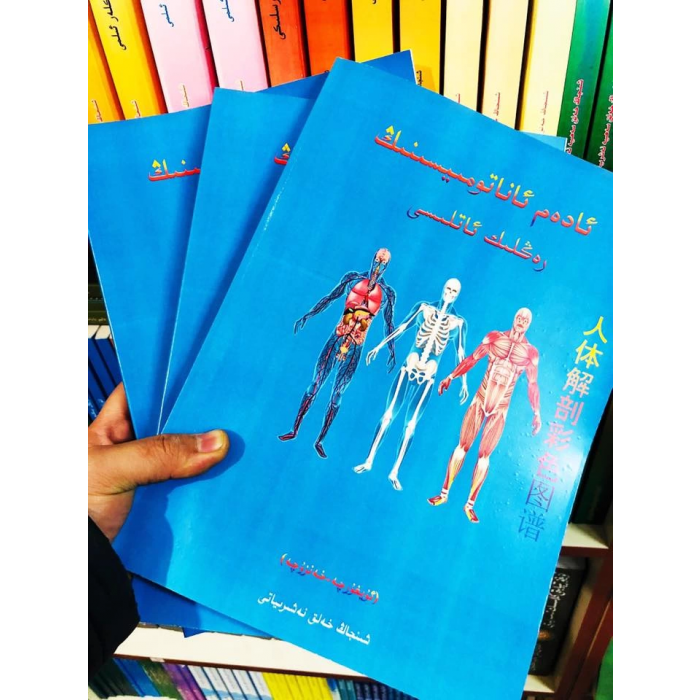 ئاساسىي رەسىم