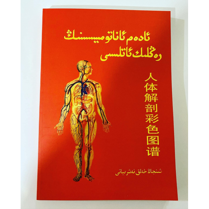 ئاساسىي رەسىم