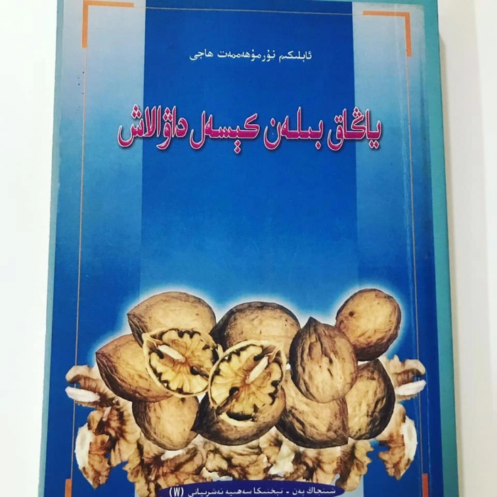 ئاساسىي رەسىم