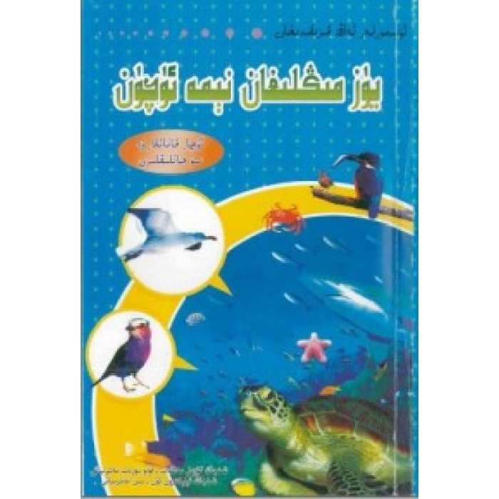 ئاساسىي رەسىم